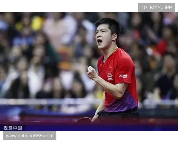 武汉乒乓球队的崛起之路与冠军赛背后的奋斗历程 武汉乒乓球队的崛起之路与冠军赛背后的奋斗历程