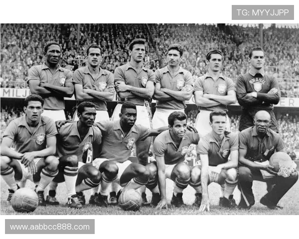 深圳极限运动队勇攀高峰的奋斗历程与世界杯精彩瞬间回顾