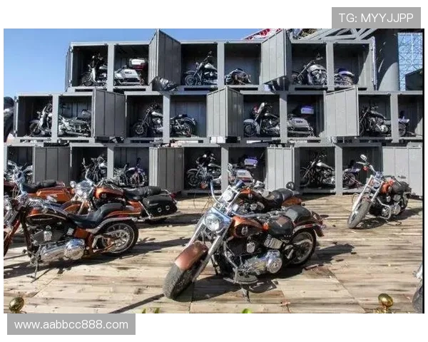 南京极限运动队心理素质排名第六揭秘极限运动员的心理挑战与成长之路 南京极限运动队心理素质排名第六揭秘极限运动员的心理挑战与成长之路