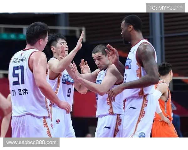 南京篮球队运营分析：成功经验与不足之处的深度剖析